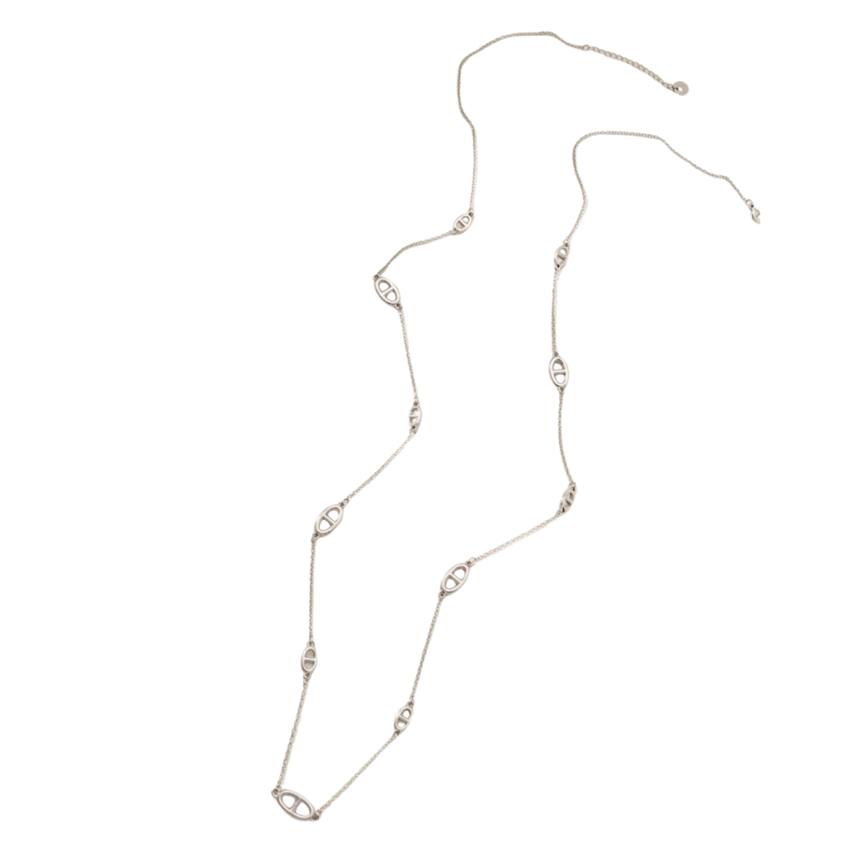Long Links Necklace ✨